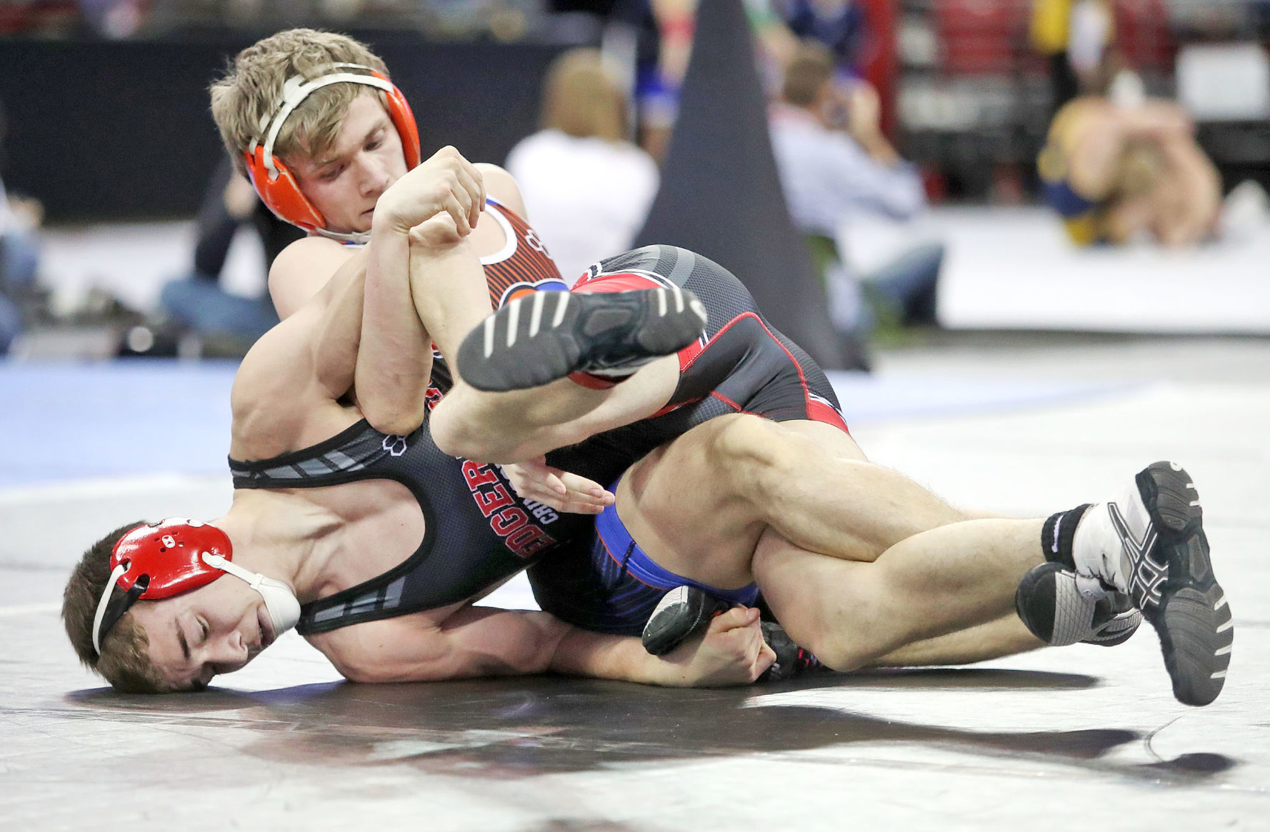 190222_WRESTLE21